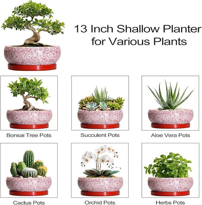Bonsai Tree Pots 13 Inch - Ceramic Bonsai Pots with Drainage Hole and Tray, Large Succulent Planters Indoor, Round Bowl Planter Outdoor, Shallow Planter, Garden Decor, Plant Lover Gifts, Red