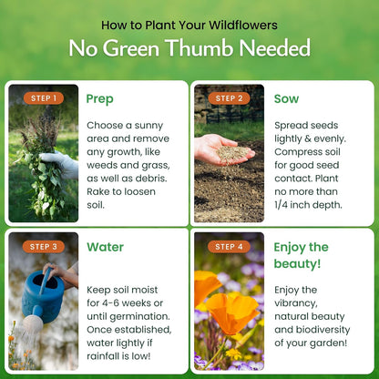 Created By Nature California Wildflower Seed Mix with Poppies, 22 Flower Varieties, 54,000+ Seeds