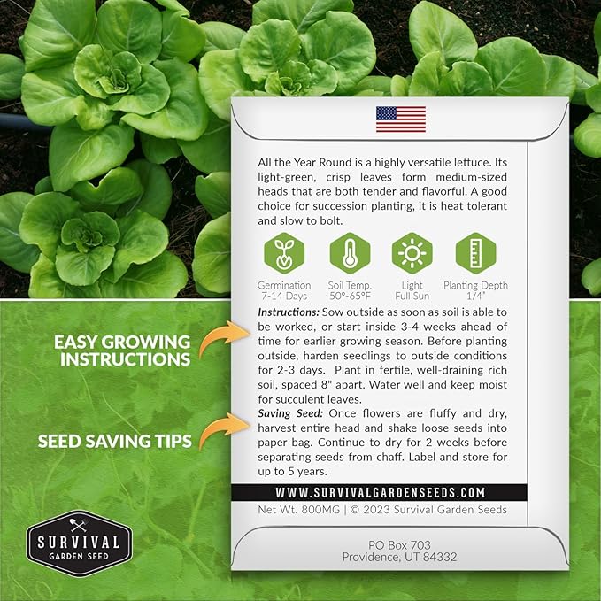 All The Year Round Lettuce Seed for Planting - 1 Packet with Instructions to Plant & Grow Adaptable Salad Greens in Your Home Vegetable Garden - Non-GMO Heirloom Variety - Survival Garden Seeds