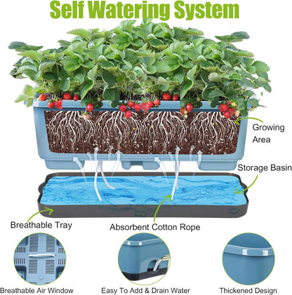 Window Box Planter 6 Pcs, 17 Inches Rectangle Flower Pots with Drainage Holes and Trays, Vegetable Planters for Windowsill Patio Garden Balcony Home Indoor Outdoor (Blue, 18 * 10 * 6 inch)