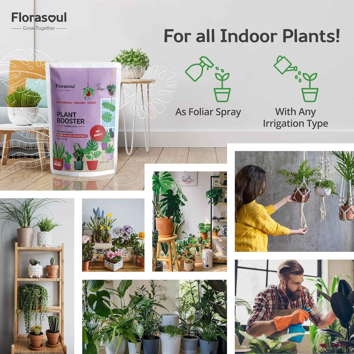 PLANT BOOSTER Indoor Plant Food Water Soluble Flakes Organic Seaweed Fertilizer NO SMELL Best House Plant Feed Eco Friendly, Certified Vegan Organic Plant Fertilizer 500g/350l