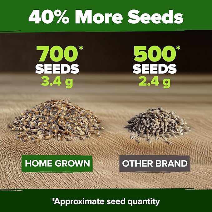 HOME GROWN Bachelor Button Flower Seeds Tall Mix – 700+ Cornflower Heirloom Seeds for Planting - Quick Blooming, Non-GMO, Pollinator Friendly, Easy to Grow Wildflowers – USA Grown (Centaurea cyanus)