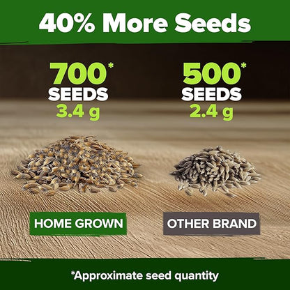 HOME GROWN Bachelor Button Flower Seeds Tall Mix – 700+ Cornflower Heirloom Seeds for Planting - Quick Blooming, Non-GMO, Pollinator Friendly, Easy to Grow Wildflowers – USA Grown (Centaurea cyanus)