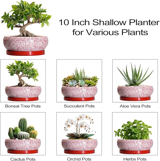 Bonsai Pots 10 Inch - Ceramic Succulent Planters for Indoor Plants Outdoor, Succulent Pots with Drainage Hole and Tray, Round Shallow Planter, Bonsai Planter, Home Decor, Gardening Gift, Red