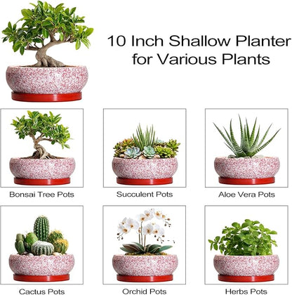 Bonsai Pots 10 Inch - Ceramic Succulent Planters for Indoor Plants Outdoor, Succulent Pots with Drainage Hole and Tray, Round Shallow Planter, Bonsai Planter, Home Decor, Gardening Gift, Red
