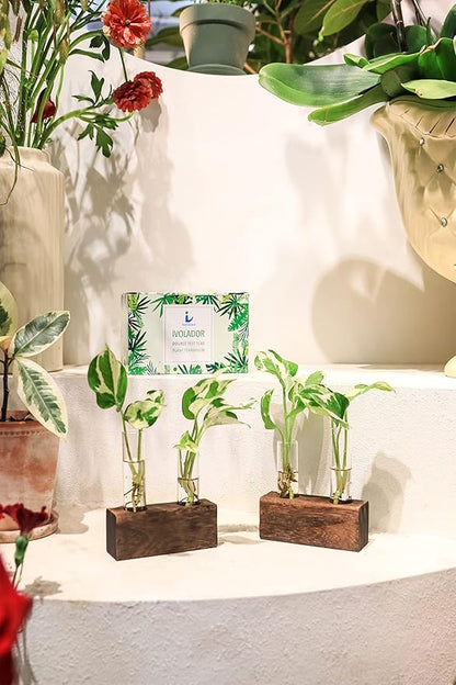 Propagation Station, Plants Terrarium, Plants Lover Gifts for Women,Plant Cutting Holder Home décor,Gifts for Women,House Warming New Home-4 Tubes-Brown