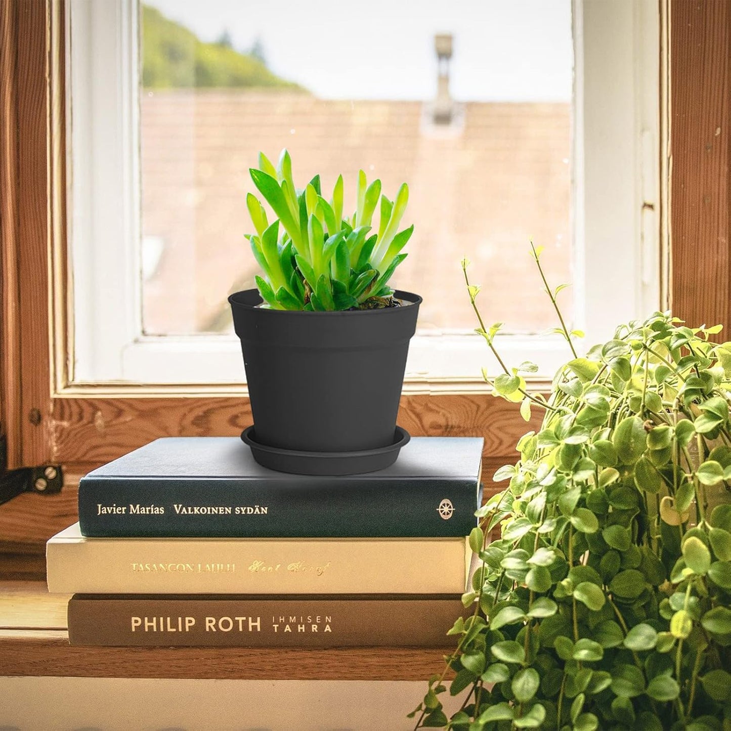 12 Pack 4 inch Plastic Planters, Seedlings Plant Nursery Pots with Drainage Holes and Saucers for Plants Flowers Succulent and All House Plants, Black