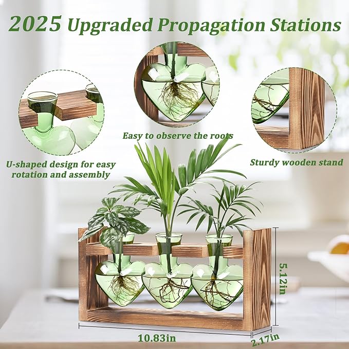 Lifecapido Heart Shaped Propagation Stations, Plant Terrarium with Wooden Stand, Plant Propagation Station for Hydroponics Office Garden Home Decor, Gifts for Women Plant Lover (3 Vases, Mint Green)