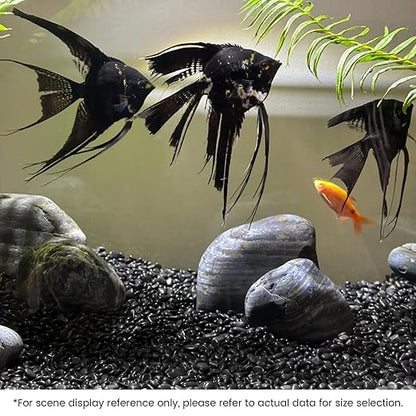 SIDONG 5 LB Black River Rocks, 0.3-0.5 Inches High Polished Pebbles for Indoor Plants, Aquarium Rocks Used in Fish Tank, Decorative Stones for Plants, Vases, Home Décor, Crafting, Garden Landscaping