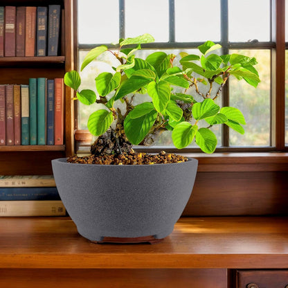 8.26” Large Bonsai Pots with Drainage Breathable Rough Pottery Planter Sand-Textured Short Legs Bonsai Tree Pots Ceramic for Indoor Plants Succulent