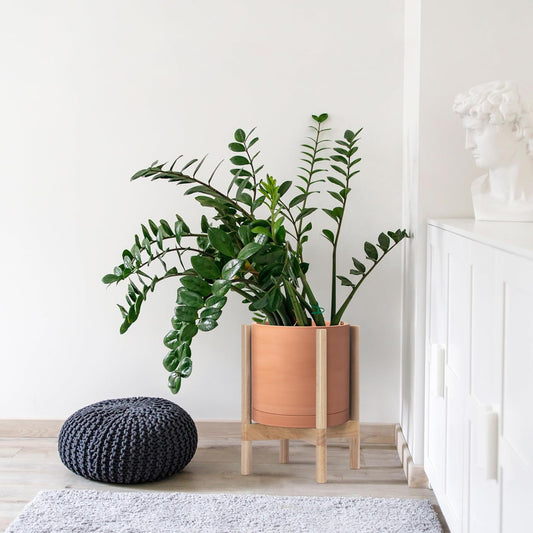 D'vine Dev Terracotta Planter with Natural Stand - 12 Inch Modern Round Flower Pot with Wood Planter Holder, Terracotta, 55-B-J-5