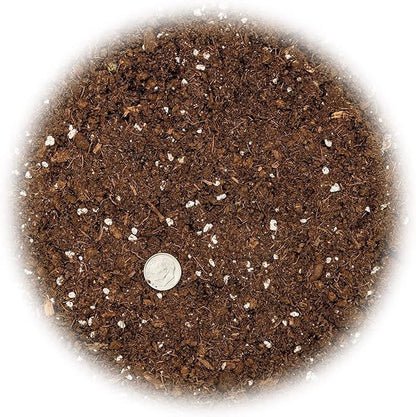 GARDENERA Premium Pothos Potting Soil Mix - Air Cleaning Plant Potting Mix, Soil Mix for Pothos, Parlor Palm, Peace Lily - (1 Quart Bag)