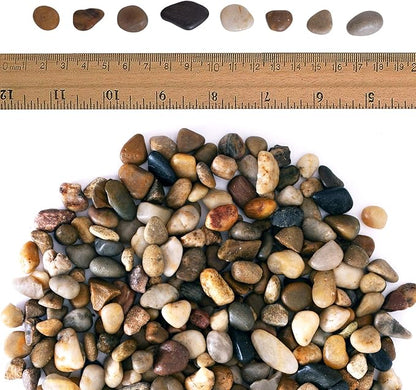2 lbs Approx. 200 River Rocks Stones for Plants Pebbles for Indoor Plants | Aquarium Fish Tank Rocks | Polished Decorative Rocks for Vases (0.3-0.6 Inches)