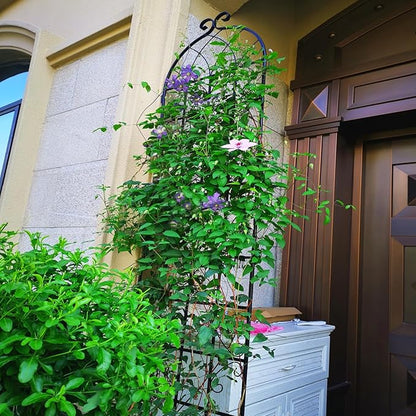 4 Pack Metal Garden Trellis 86.7" H Garden Fence Rustproof Trellis for Climbing Plants Support Roses Flower Outdoor Lawn Black