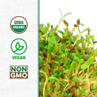 Back to the Roots 100% Organic Alfalfa Seeds | 1 Pound Non-GMO | Nutrient Dense, Easy to Grow, Rich in Fiber