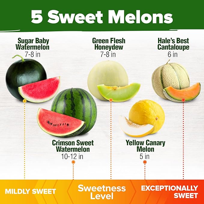HOME GROWN 𝗨𝗦𝗔 𝗣𝗥𝗘𝗠𝗜𝗨𝗠 Melon Seeds Variety Pack 5 𝗡𝗢𝗡-𝗚𝗠𝗢 Heirloom Vegetable Seeds, Watermelon Cantaloupe Honeydew Sugar Baby & Melon, High Germination for Planting Home Garden Indoors