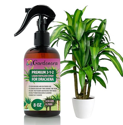 Gardenera Proffesional Dracaena Spray Fertilizer Mist for Home Gardening | 3-1-2 Gentle Blend Mist for Healthy Leaves & Growth | Essential Nutrients for Dracaena Plants - 8oz