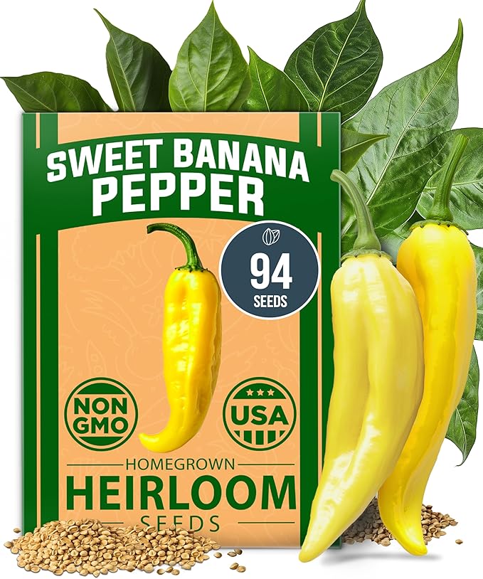 HOME GROWN 𝗨𝗦𝗔 𝗣𝗥𝗘𝗠𝗜𝗨𝗠 Banana Pepper Seeds Pack – 94 𝗡𝗢𝗡-𝗚𝗠𝗢 Heirloom Vegetable Seeds – High Germination Sweet Peppers for Planting Indoors or Outdoor Garden (Capsicum annuum) (1pack)