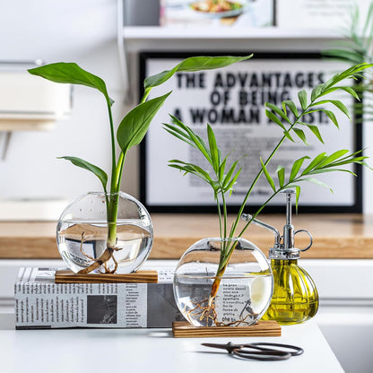 Glass Planter Propagation Station with Wooden Base - Clear Oblate Hydroponic Vase, Decorative Desktop Flower Vase for Home, Office, Windowsill - Gift for Plant Lovers (4)