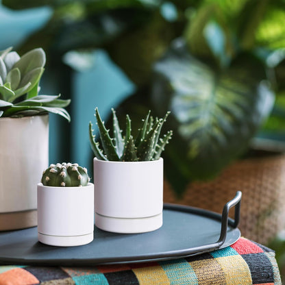 D'vine Dev 3.5 Inch & 4.7 Inch Ceramic Planter Pots for Plants with Drainage Hole and Saucer, X-Small Plant Pots Set, White, 94-G-XS-1