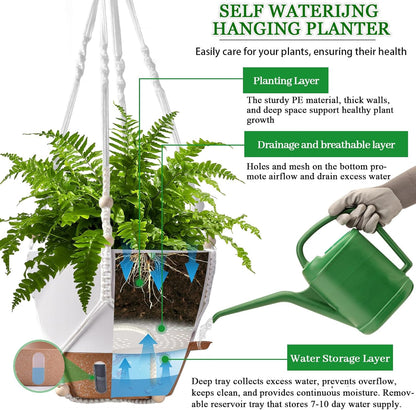 10 Inch Hanging Planters for Indoor Plants & Outdoor - 2 Pack Self-Watering Hanging Pots with Drainage Holes, Visual Reservoir, 2 Hangers - Self-Watering Hanging Baskets Flower Pots