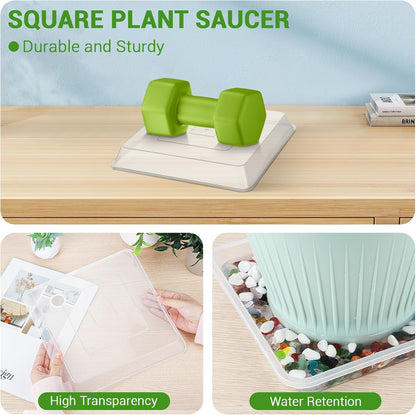 GREANER 10 Inch Large Plant Tray, 6 Packs Square Plant Pot Saucer, Durable Thick Watering Trays for Plants, Plastic Plant Tray for Outdoor Indoor Garden Supplies(Clear)