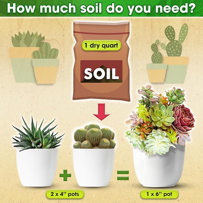 DUSPRO Succulents Soil Potting Mix – 7 in 1 Ingredients Well-Draining, Nutrient-Rich Cactus Potting Soil for Succulents and Cacti, Indoor & Outdoor Use, Ready to Use, Supports Healthy Root Growth, 4QT