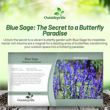 Outsidepride Blue Sage Seeds - 5000 Pcs Perennial, Drought-Tolerant & Deer-Resistant Wildflower Seeds w/Fragrant Blooms for Pollinator Attractant for Butterfly & Hummingbird Gardens & Landscaping