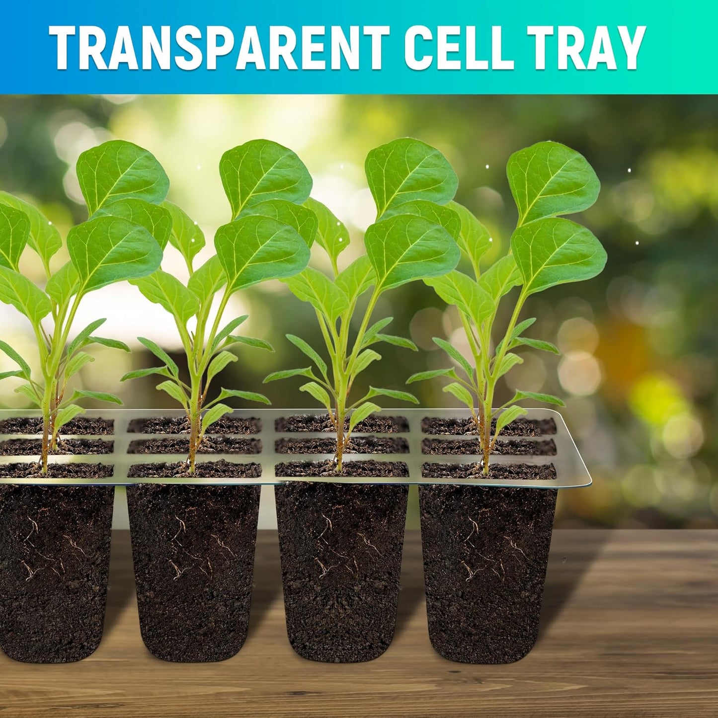 6-Set Seed Starter Tray with Grow Light, Seed Starting Trays Kits with Timing Controller Adjustable Humidity Domes Heightened Lids(12-Cells Per Tray)
