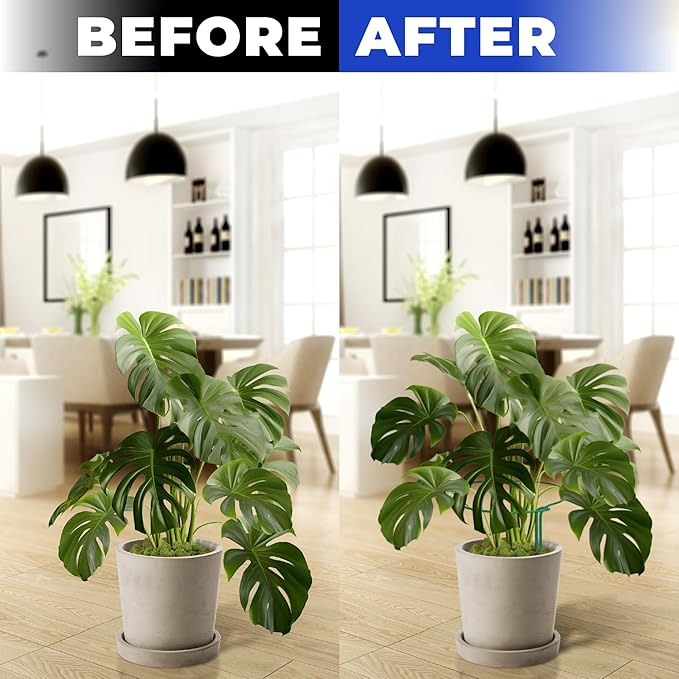 K-Brands Tall Plant Support Stakes – 10"W x 24"H Half Round Peony Cages and Supports for Indoor and Outdoor Plants – Plant Cage Ring Support for Flower - Peony, Tomato, Hydrangea, Rose Bush (6 Pack)