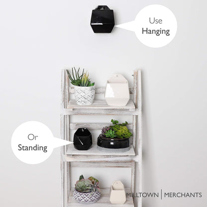 Milltown Merchants Succulent Wall Planters - Wall Vases - White Ceramic Wall Mounted Planters - Succulent Plant Pots - Hanging Vases for Living Wall (1 Pack/Contemporary/Black)
