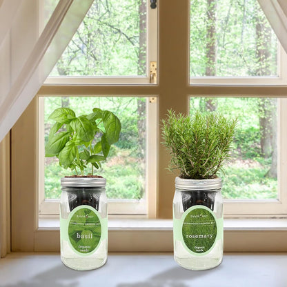 2-Pack Hydroponic Mason Jar Herb Garden Kit, Indoor Herb Garden Self-Watering Starter Kit (Basil,Rosemary)