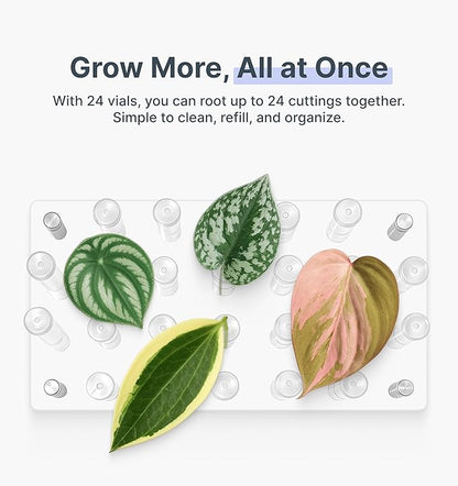 Plant Propagation Station, 24 Floral Tubes, Floral Arrangement Kit, Modern Acrylic Desktop Rack with Propagation Tubes for Hydroponics Rooting Cuttings, Bud Vase Holder, Plant Lover Gift