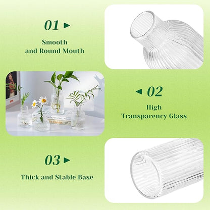 Hewory Glass Propagation vases for Plants: 4 PCS Ribbed Propagated Plant Holders for Hydroponic Cutting Flowers - Clear Propagation Stations Terrarium Jars for Home Office Decor Plant Lover Gifts