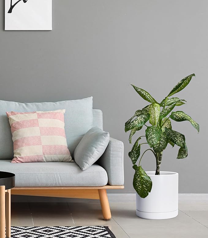 D'vine Dev 10 Inch Ceramic Planter Pot with Drainage Hole and Saucer, Indoor Cylinder Round Planter Pot, White, 94-O-E-1