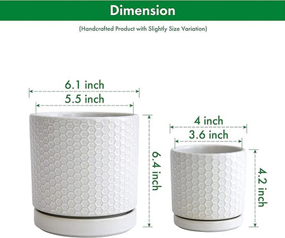 D'vine Dev Set of 2 Modern Matte White Honeycomb Embossed Ceramic Planter Pots with Saucer and Drainage Hole, 4 Inch & 6 Inch, 99-C-1-N