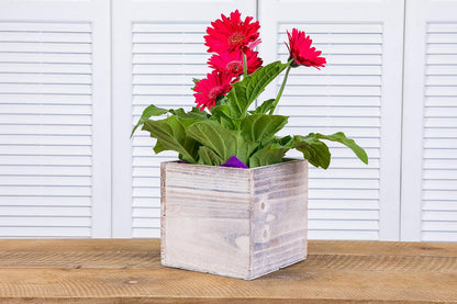 Wooden Planter Box, Rustic Whitewash with Plastic Liner l Garden Decor l Restaurant and Wedding Decorations l Wedding Bouquets, Table Centerpiece (5x5 Set of 4, Whitewash)