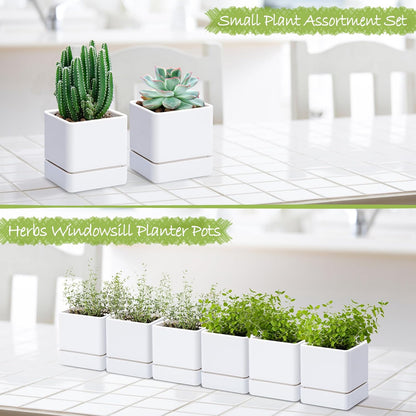 4 Inch Herb Planter Pot, Plastic Planter with Drainage Holes and Saucer, Modern Decorative Gardening Pot for Indoor Plants, Flowers, Herbs, Succulents, White, Set of 6, 76-Y-A-6