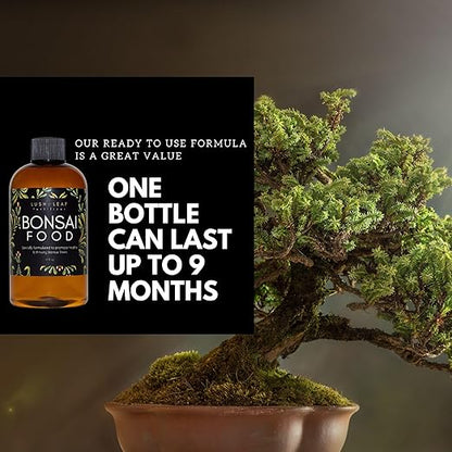 Lush Leaf | Plant Food (Bonsai)