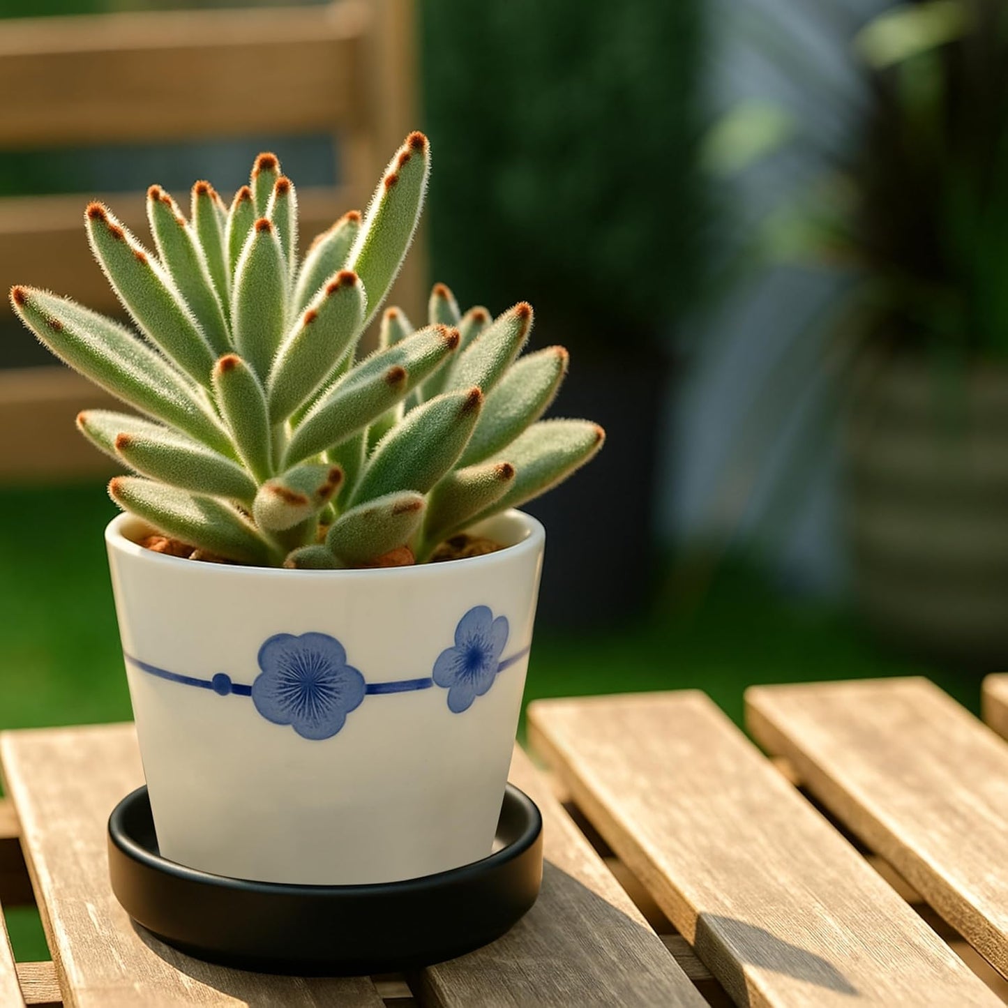 D'vine Dev Modern Round 3.7 Inch Ceramic Plant Pot Saucer, Planter Pot Drainage Tray for Indoor Plants, Matte Black, 97-T-B-1