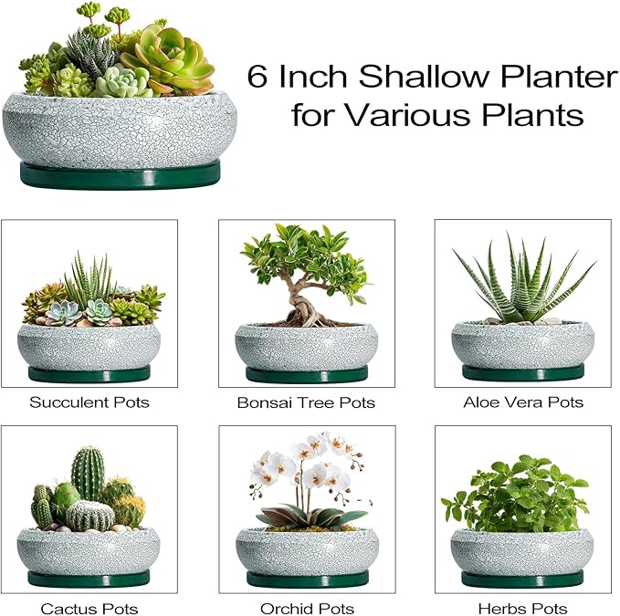 Succulent Pots - 6 Inch Ceramic Pots for Succulent Indoor Outdoor, Small Plant Pot with Drainage Hole and Saucer, Bonsai Pot, Modern Round Planter, Window Decor, Housewarming Gifts, Green