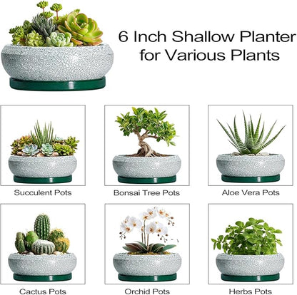 Succulent Pots - 6 Inch Ceramic Pots for Succulent Indoor Outdoor, Small Plant Pot with Drainage Hole and Saucer, Bonsai Pot, Modern Round Planter, Window Decor, Housewarming Gifts, Green
