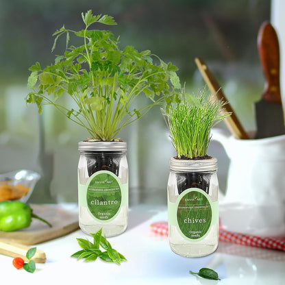 2-Pack Hydroponic Mason Jar Herb Garden Kit, Indoor Herb Garden Self-Watering Starter Kit (Cilantro,Chives)