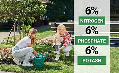 6-6-6 All-Purpose Professional Plant Food Fertilizer; Ideal for Winter Care & Spring Feeding, Perfect Balanced NPK for Indoor and Outdoor Plants (4 QUARTS)