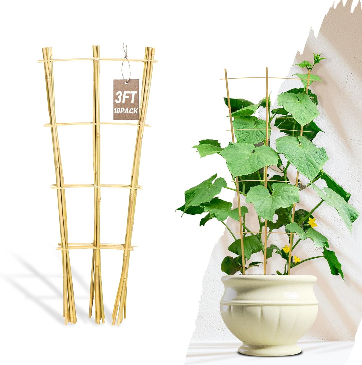 Avalution 10 Pack Bamboo Trellis for Climbing Plants, 3 FT Garden Ladder Trellis for Potted Plants Indoor, Fan-Shaped Small Plant Support Trellis for Houseplants Ivy Hoya Vine Monstera