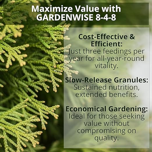 8-4-8 Acidic Fertilizer for Azaleas, Camellias (Camelia), Hydrangeas, Blueberries, Gardenias, Magnolia Trees, Evergreens, and Rhododendrons - Ideal Iron-Rich Plant Food (4 QUARTS)