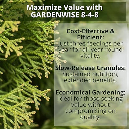 8-4-8 Acidic Fertilizer for Azaleas, Camellias (Camelia), Hydrangeas, Blueberries, Gardenias, Magnolia Trees, Evergreens, and Rhododendrons - Ideal Iron-Rich Plant Food (4 QUARTS)