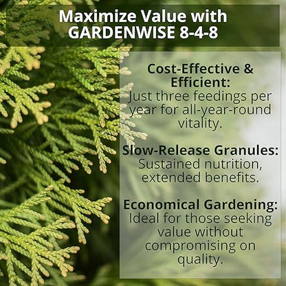 8-4-8 Acidic Fertilizer for Azaleas, Camellias (Camelia), Hydrangeas, Blueberries, Gardenias, Magnolia Trees, Evergreens, and Rhododendrons - Ideal Iron-Rich Plant Food (12 OZ)