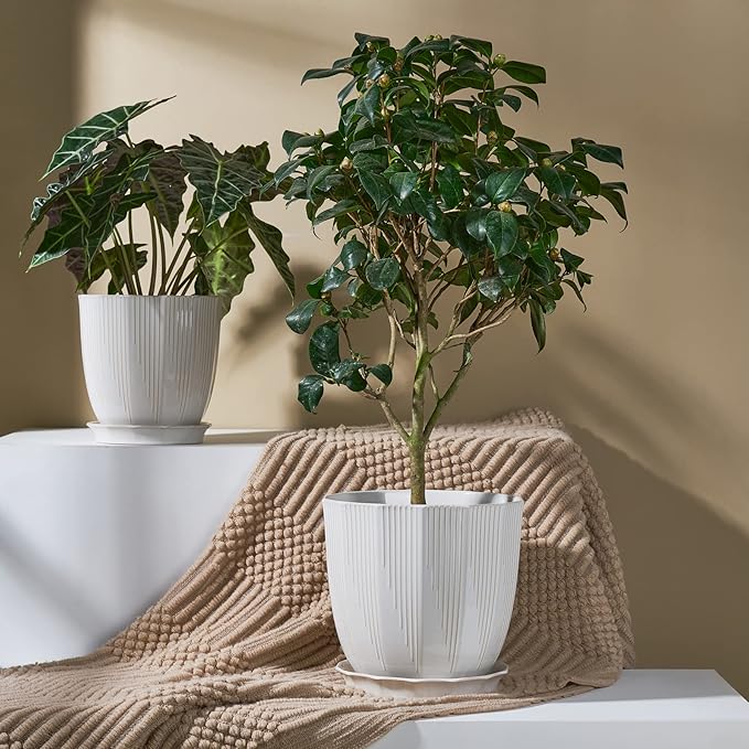 ADN 10 Inch Ceramic Planter Pot with Drainage Hole and Saucer,Large Round Plant pots for Indoor Outdoor Plants,Modern Flower pots, White