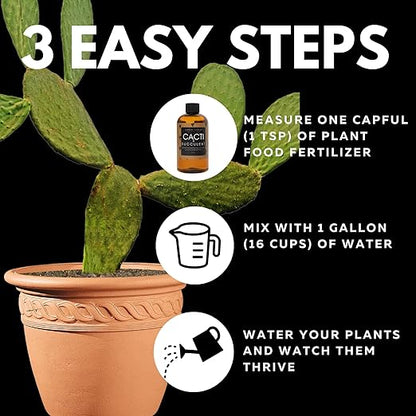 Lush Leaf | Plant Food (Cacti Succulent)